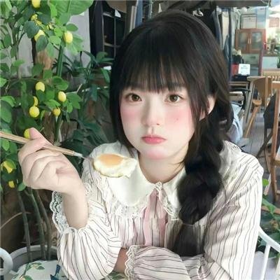 金雉鸡